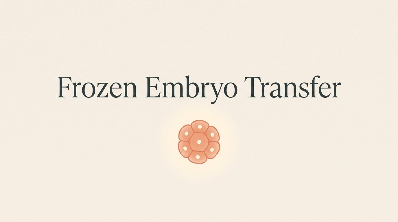 The frozen embryo transfer. — variant D